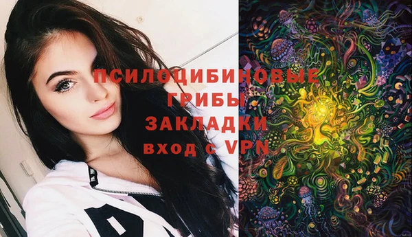 mix Алексин